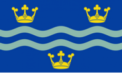 Cambridgeshire Blue Table Flags